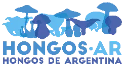 HongosAR - Fundación Hongos de Argentina para la Sustentabilidad